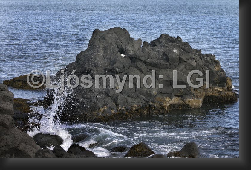 lgi0244.jpg